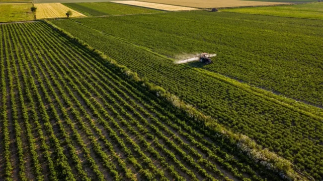Advancing the Agri-food Industry through the Development of a Smart-Eco Industrial Park in Indonesia